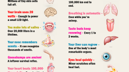 Weird Facts About Your Body That Are Actually True